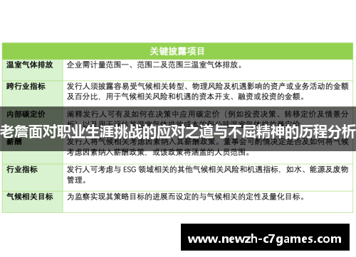老詹面对职业生涯挑战的应对之道与不屈精神的历程分析