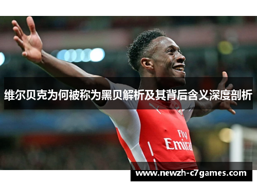 维尔贝克为何被称为黑贝解析及其背后含义深度剖析