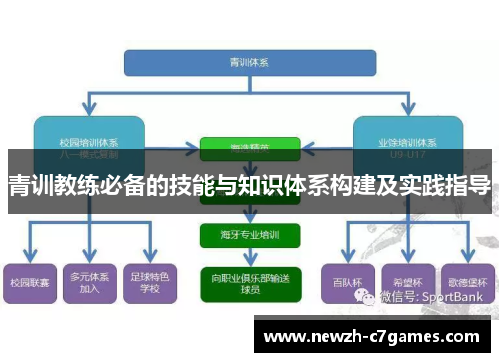 青训教练必备的技能与知识体系构建及实践指导 青训教练必备的技能与知识体系构建及实践指导