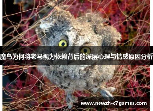 魔鸟为何将老马视为依赖背后的深层心理与情感原因分析