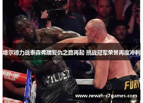 维尔德力战泰森弗瑞复仇之路再起 挑战冠军荣誉再度冲刺